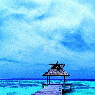 皇冠app官方版下载安卓