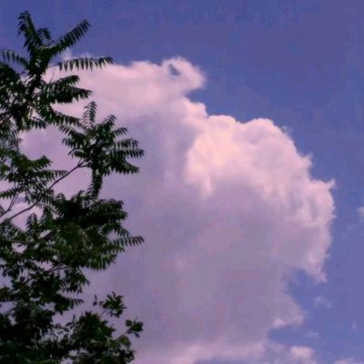 星空线上官网手机app下载